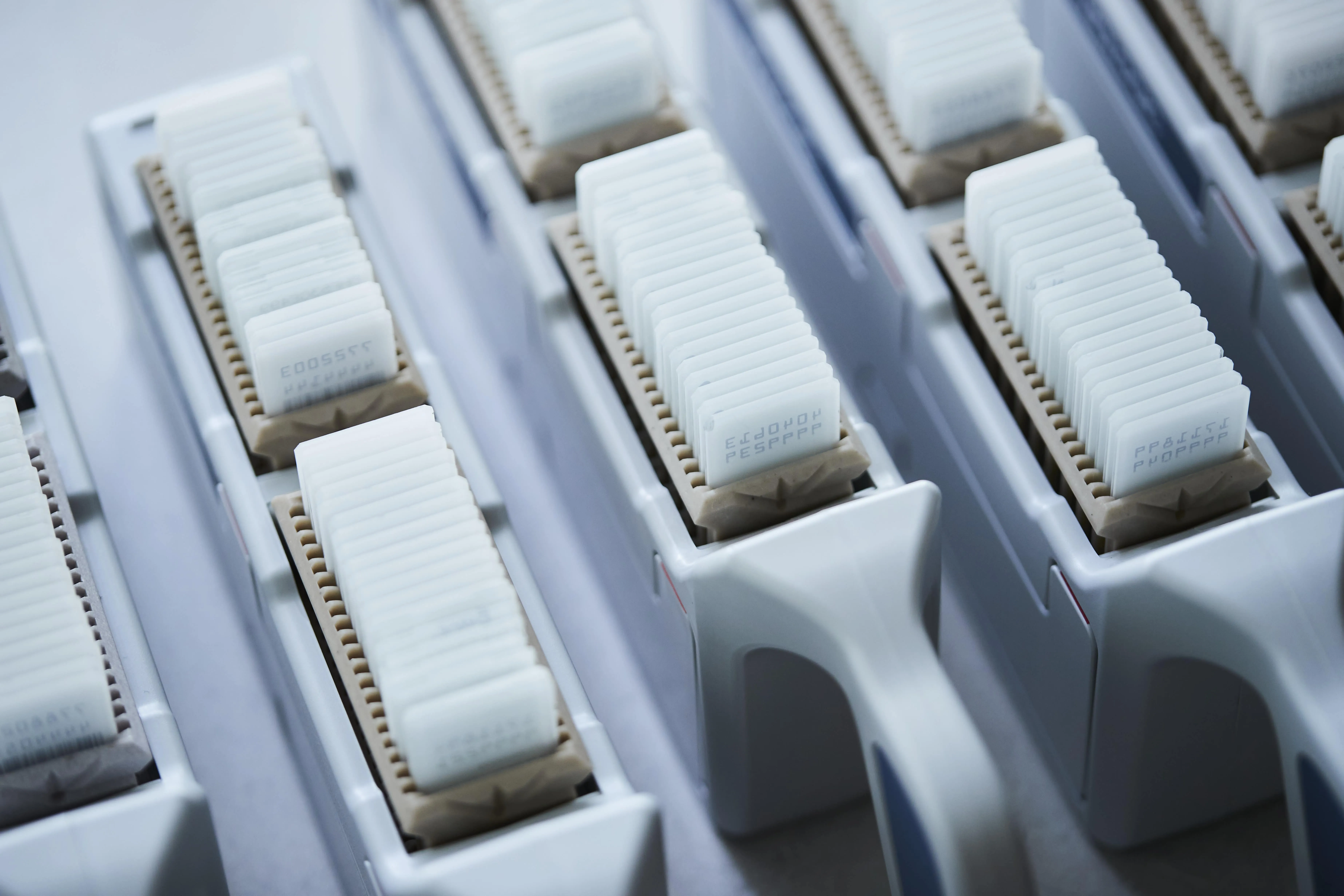 Plusieurs cartouches de test blanches alignées dans un plateau de système médical Hologic.