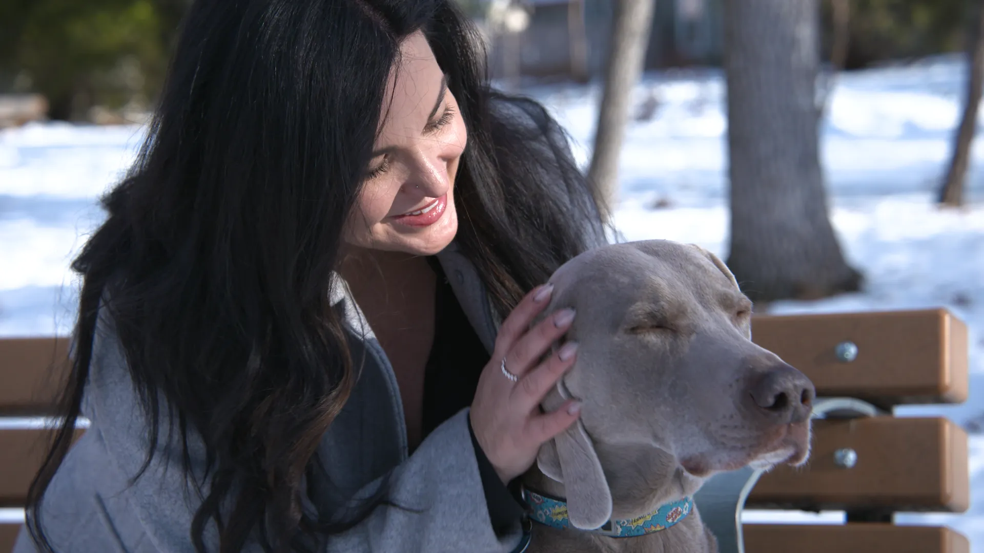 Femmes sur un banc caressant un chien dans le parc